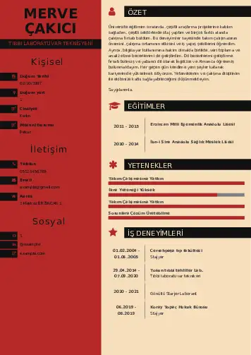 Laboratuvar Teknisyeni Cv Örnekleri cv indir